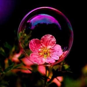 Meet your Posher, Janeth